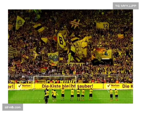 纪录片《威斯特法伦的墙》上映，记录多特南看台死忠文化